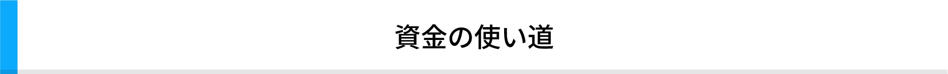 資金の使い道