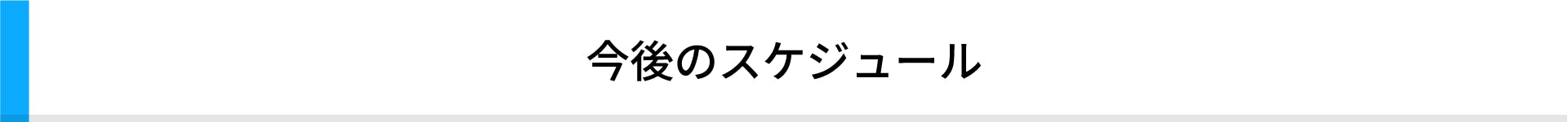 今後のスケジュール