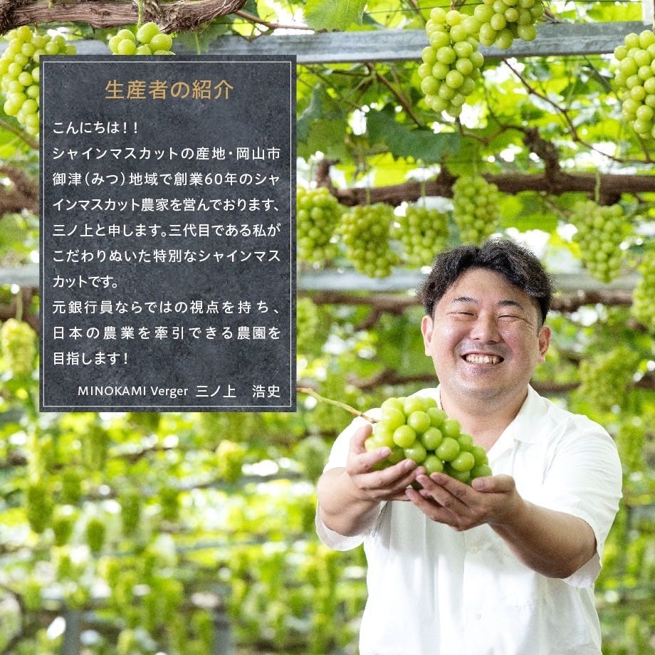 3年かけたシャインマスカットが初収穫！訳ありマスカットをみんなに