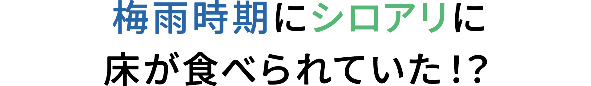 梅雨時期にシロアリに床が食べられていた!?