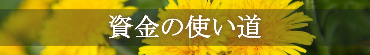 資金の使い道