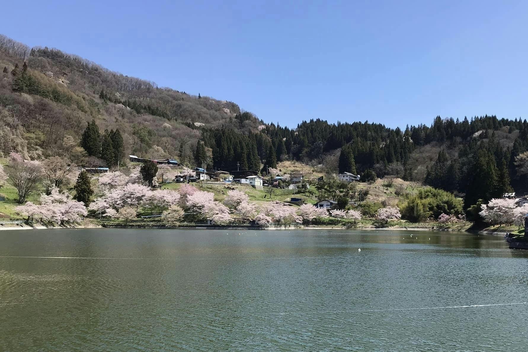 桜が咲き、魚釣りもできます