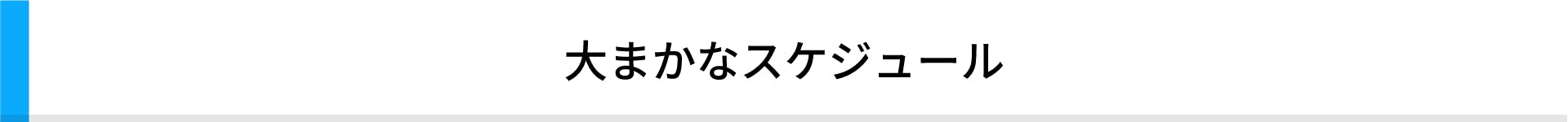 大まかなスケジュール