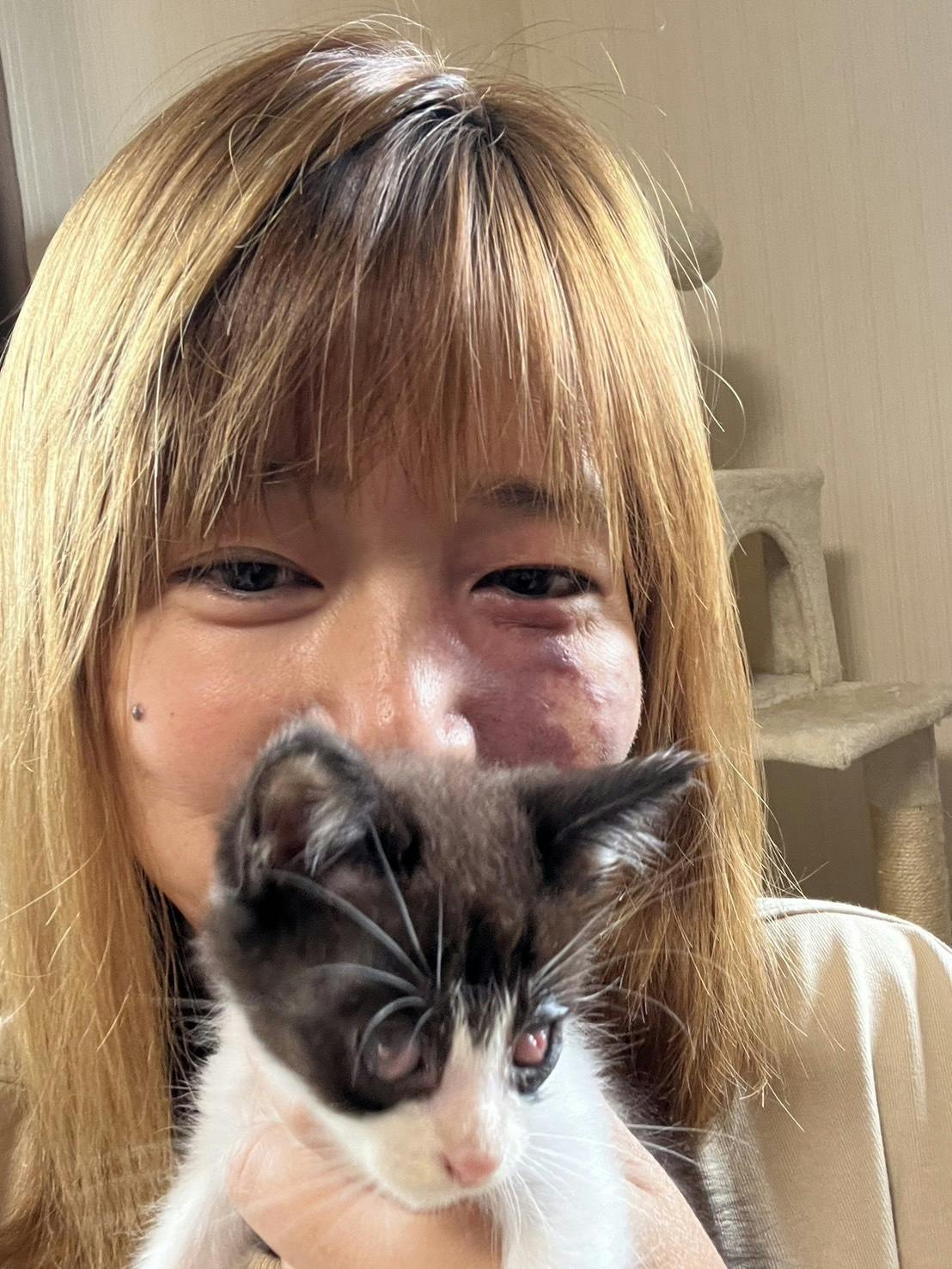 鳥取の保護猫活動