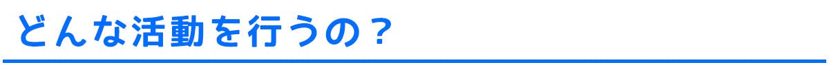 どんな活動を行うの?