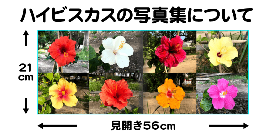 ハイビスカスの写真集についての説明画像!見開き56cmのワイドな写真集!