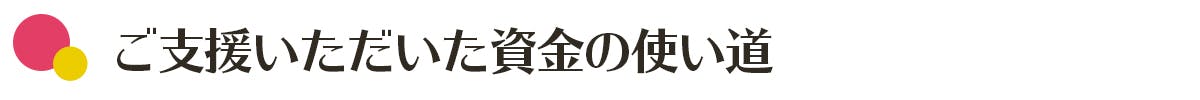 ご支援いただいた資金の使い道