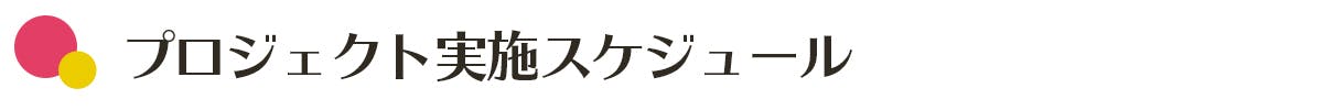 プロジェクト実施スケジュール