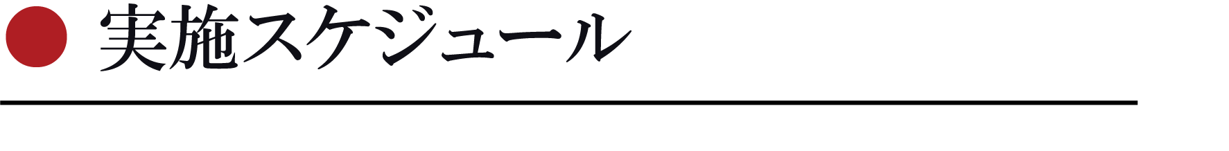 実施スケジュール