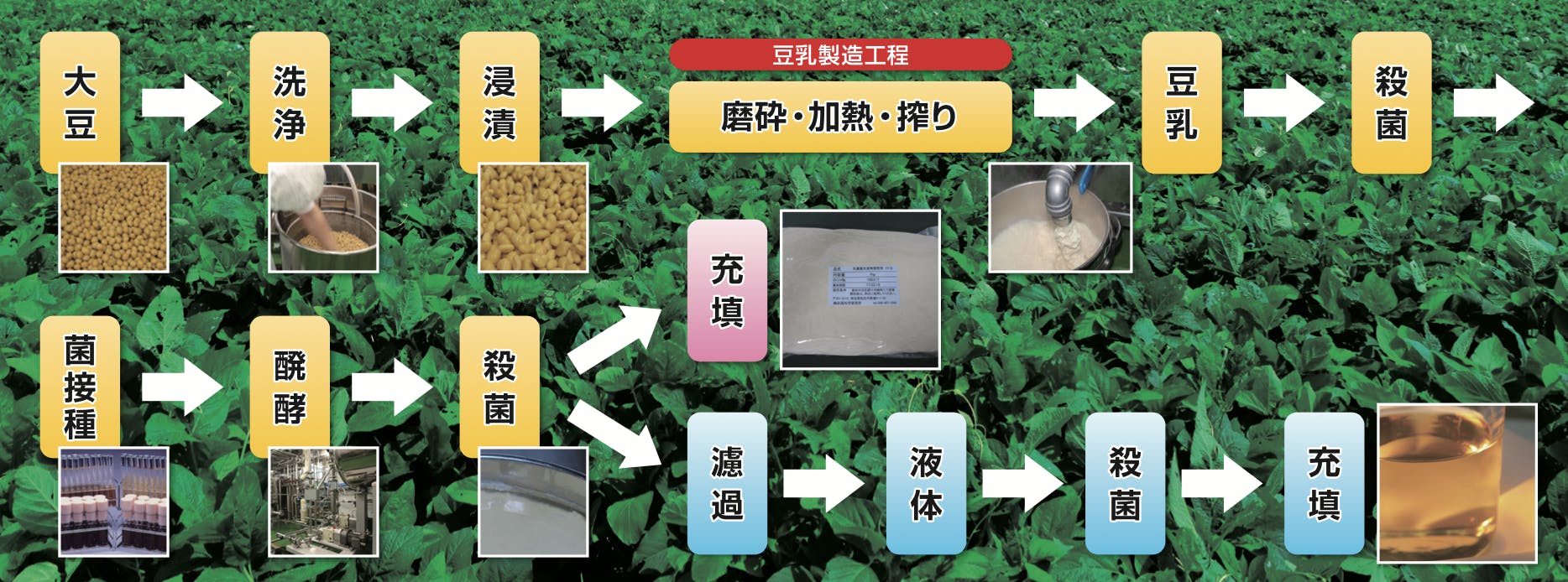 Sixteens 製造工程