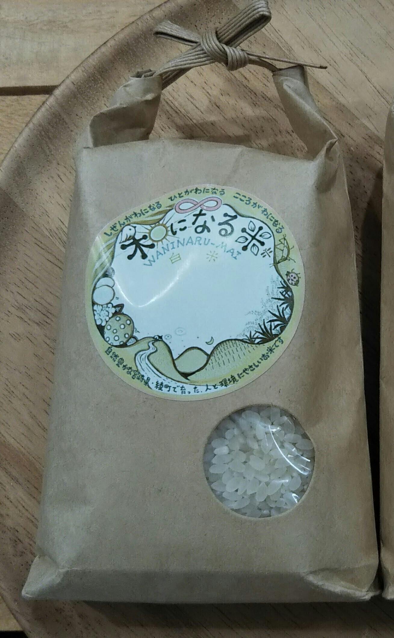 リターン画像