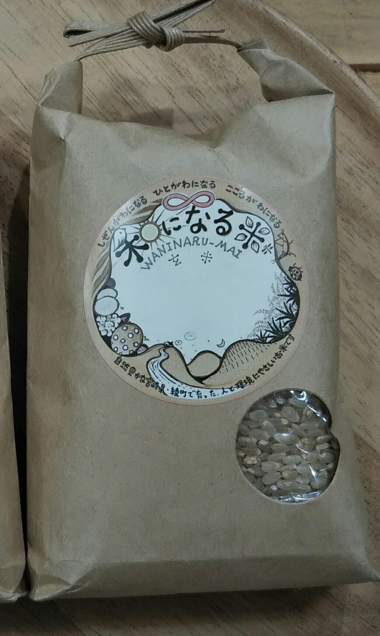 リターン画像