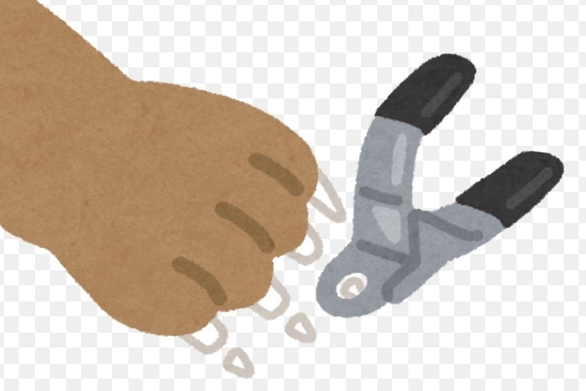 リターン画像