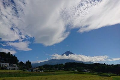 リターン画像