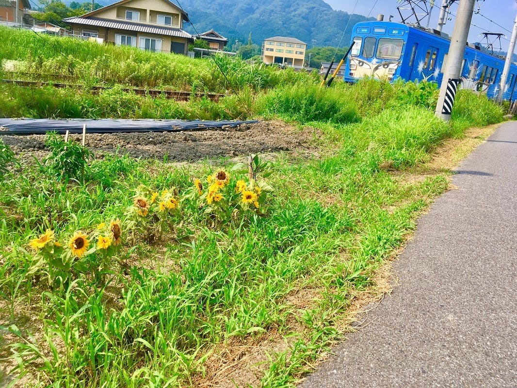 リターン画像