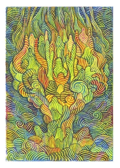 リターン画像