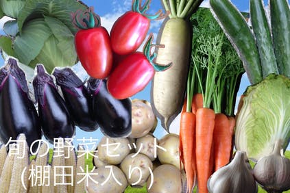 リターン画像