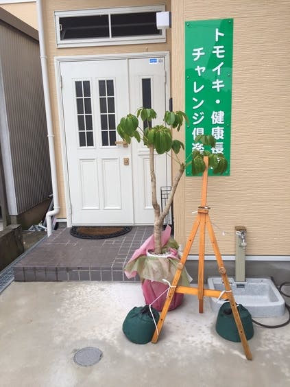 リターン画像