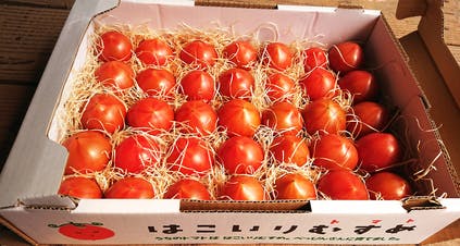リターン画像