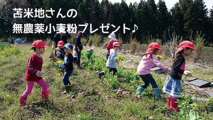 リターン画像