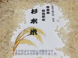 リターン画像