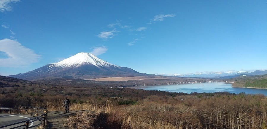 リターン画像