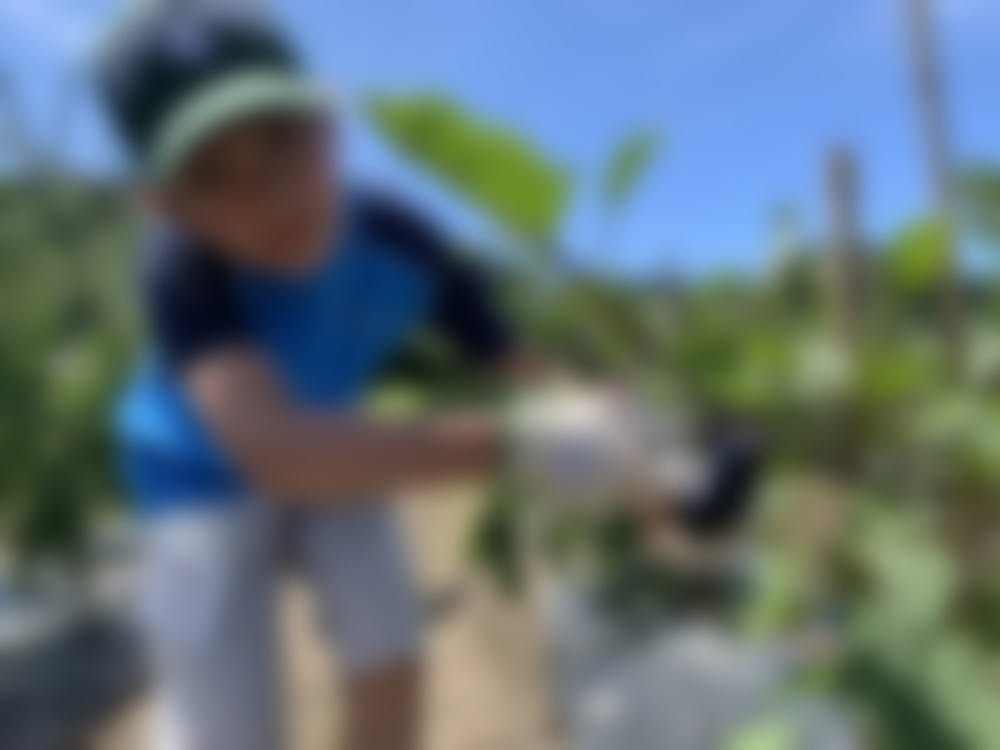 リターン画像