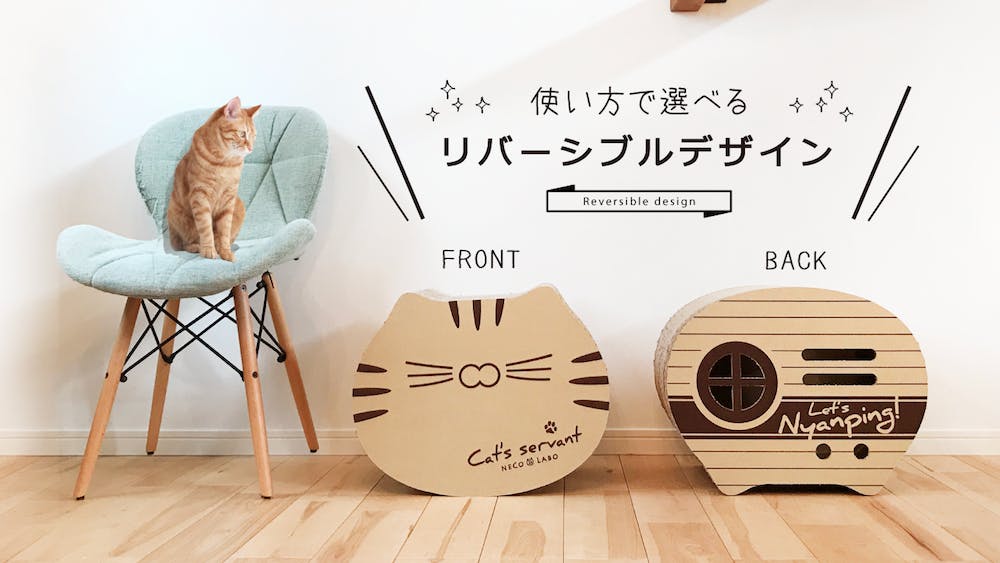 お家時間を愛猫と『ねん猫はんてん』プロジェクト！ - CAMPFIRE (キャンプファイヤー)