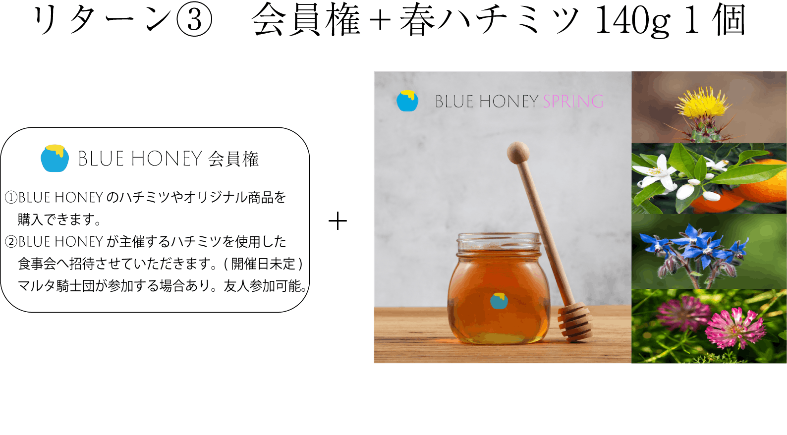 リターン画像