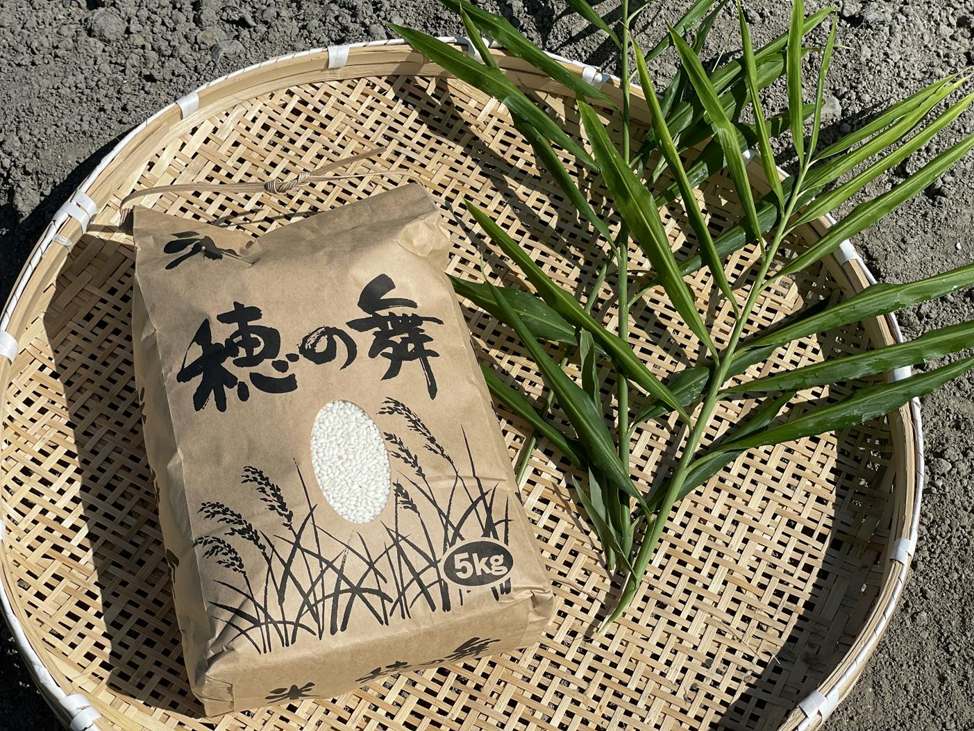 リターン画像