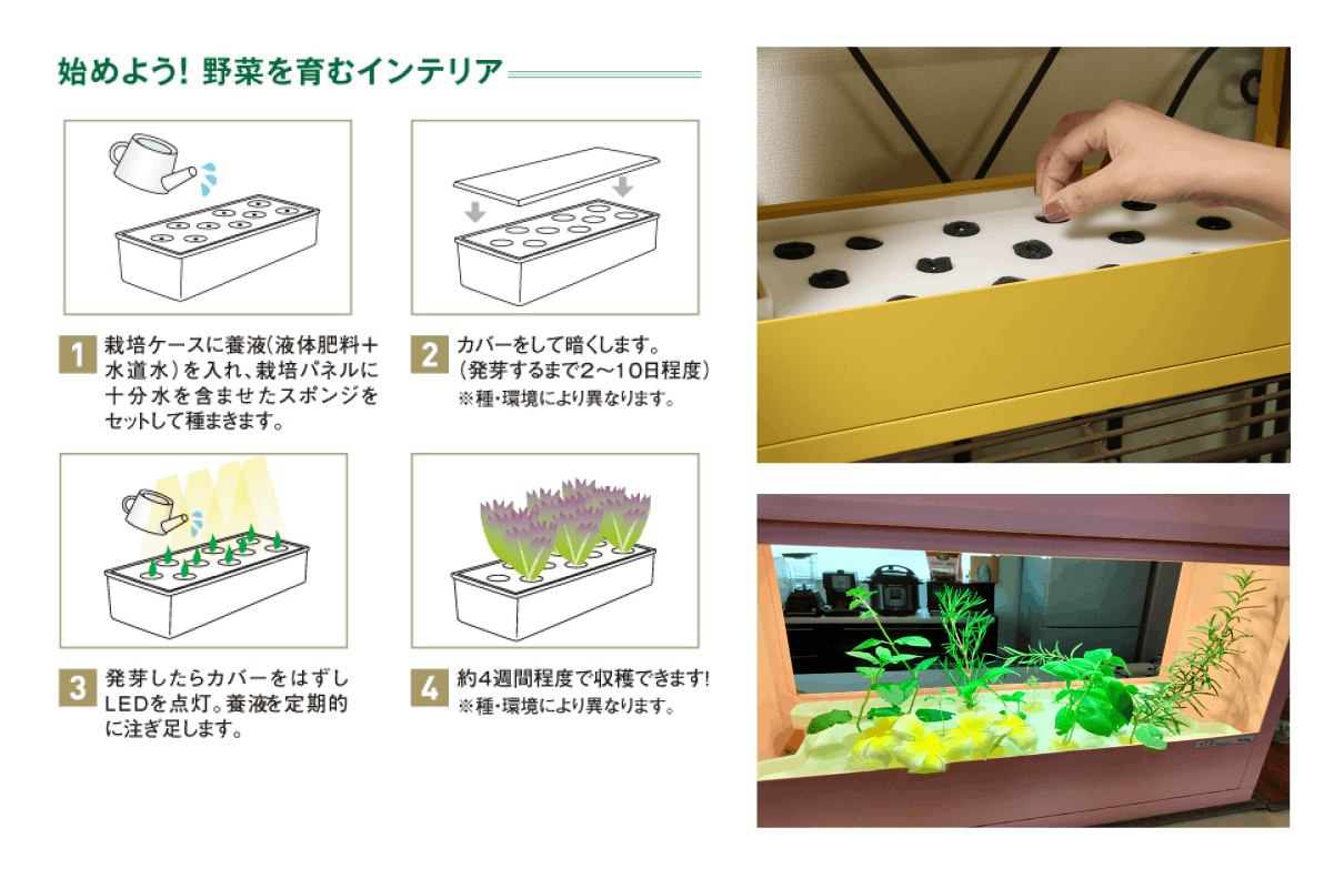 リターン画像