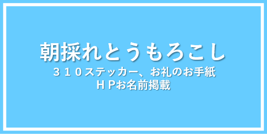 リターン画像