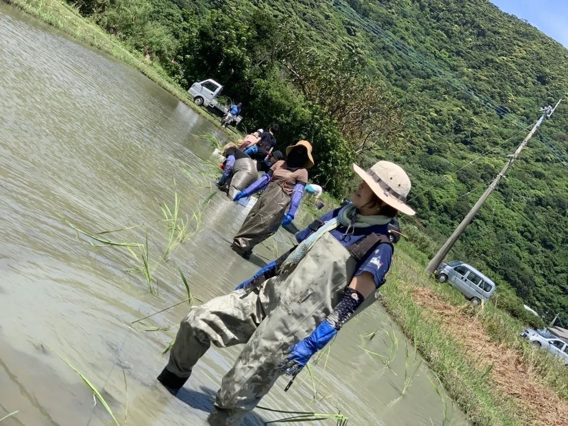 リターン画像