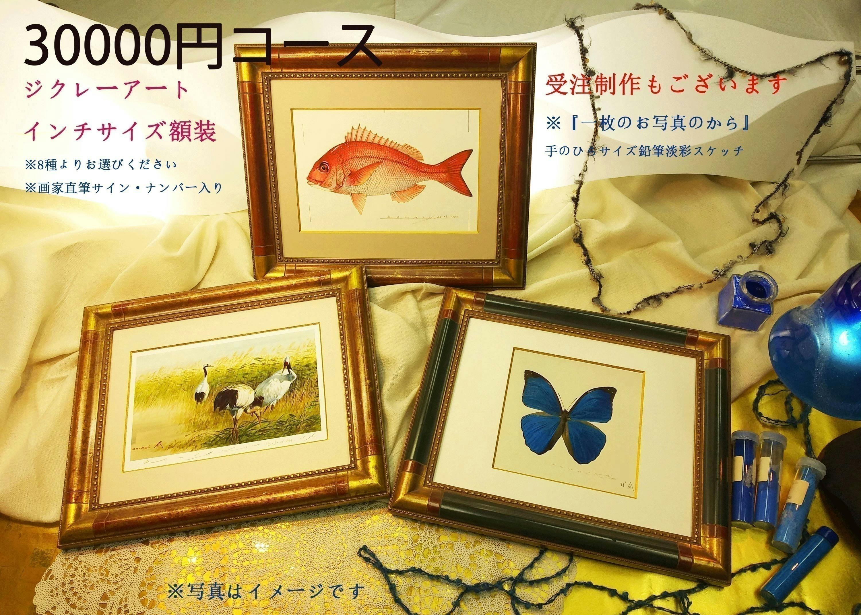 水族館魚類画図譜１００彩の原画制作を完結させる（あと１２種で１００点） - CAMPFIRE (キャンプファイヤー)