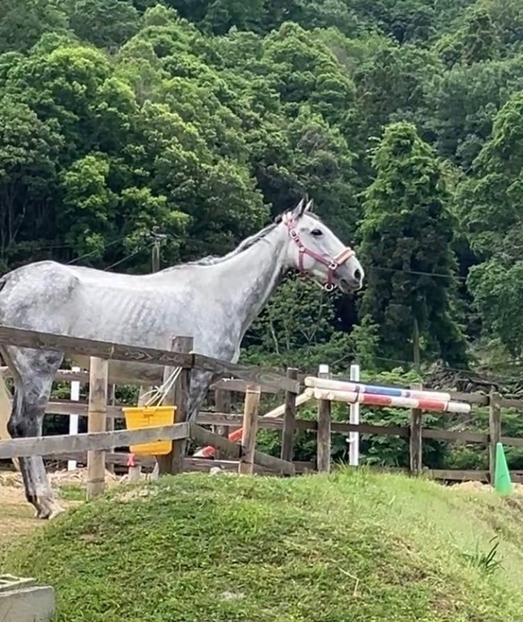 リターン画像