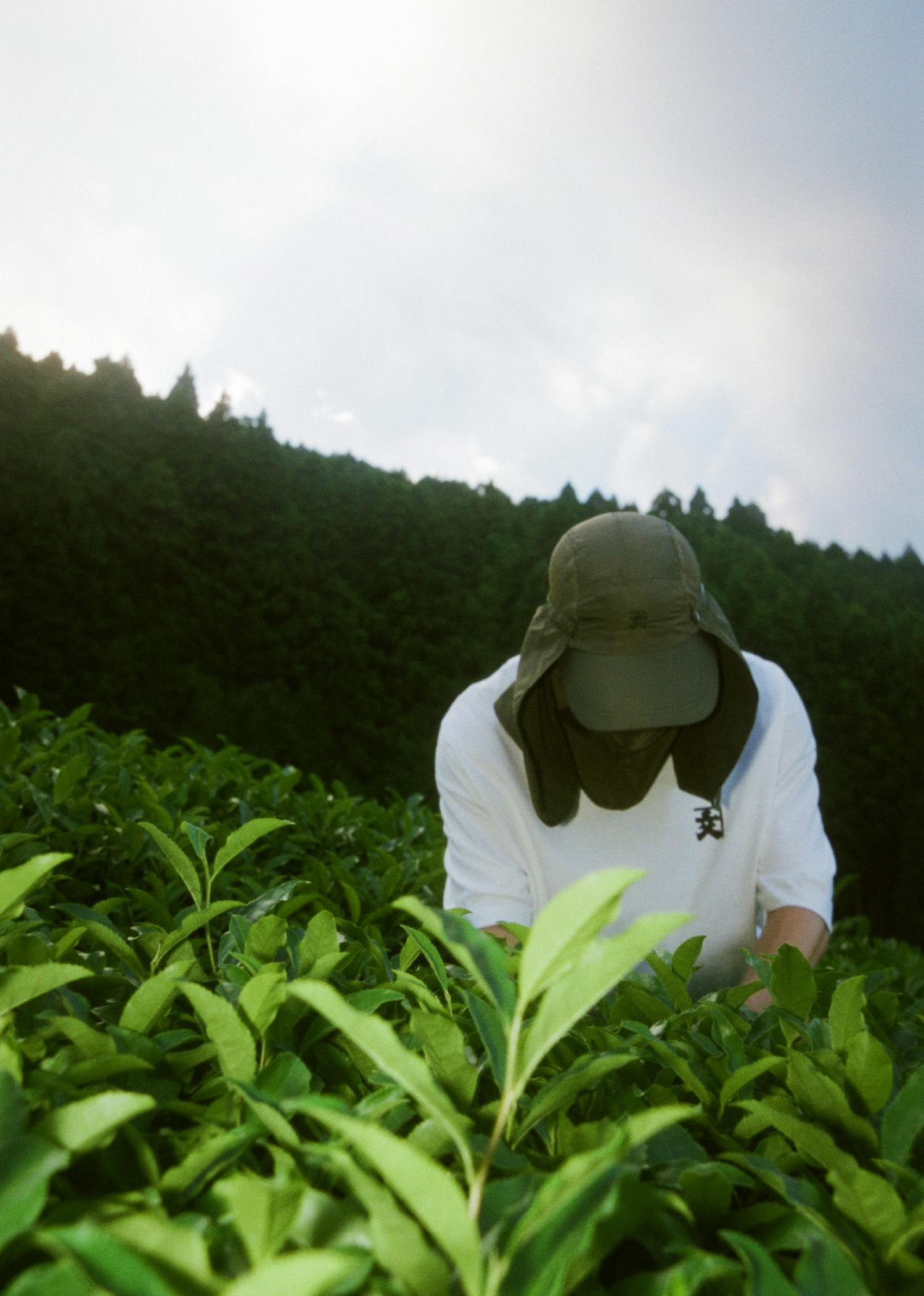 リターン画像