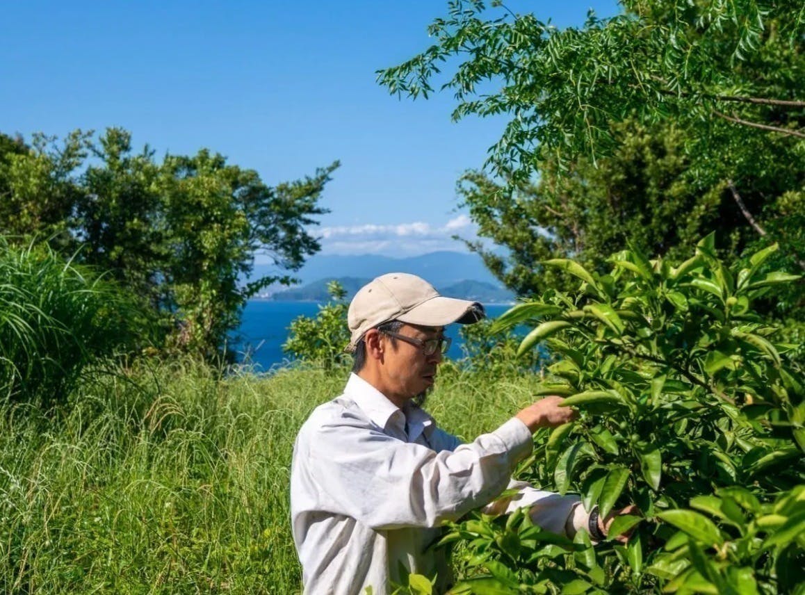 リターン画像