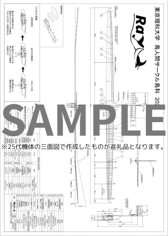 リターン画像