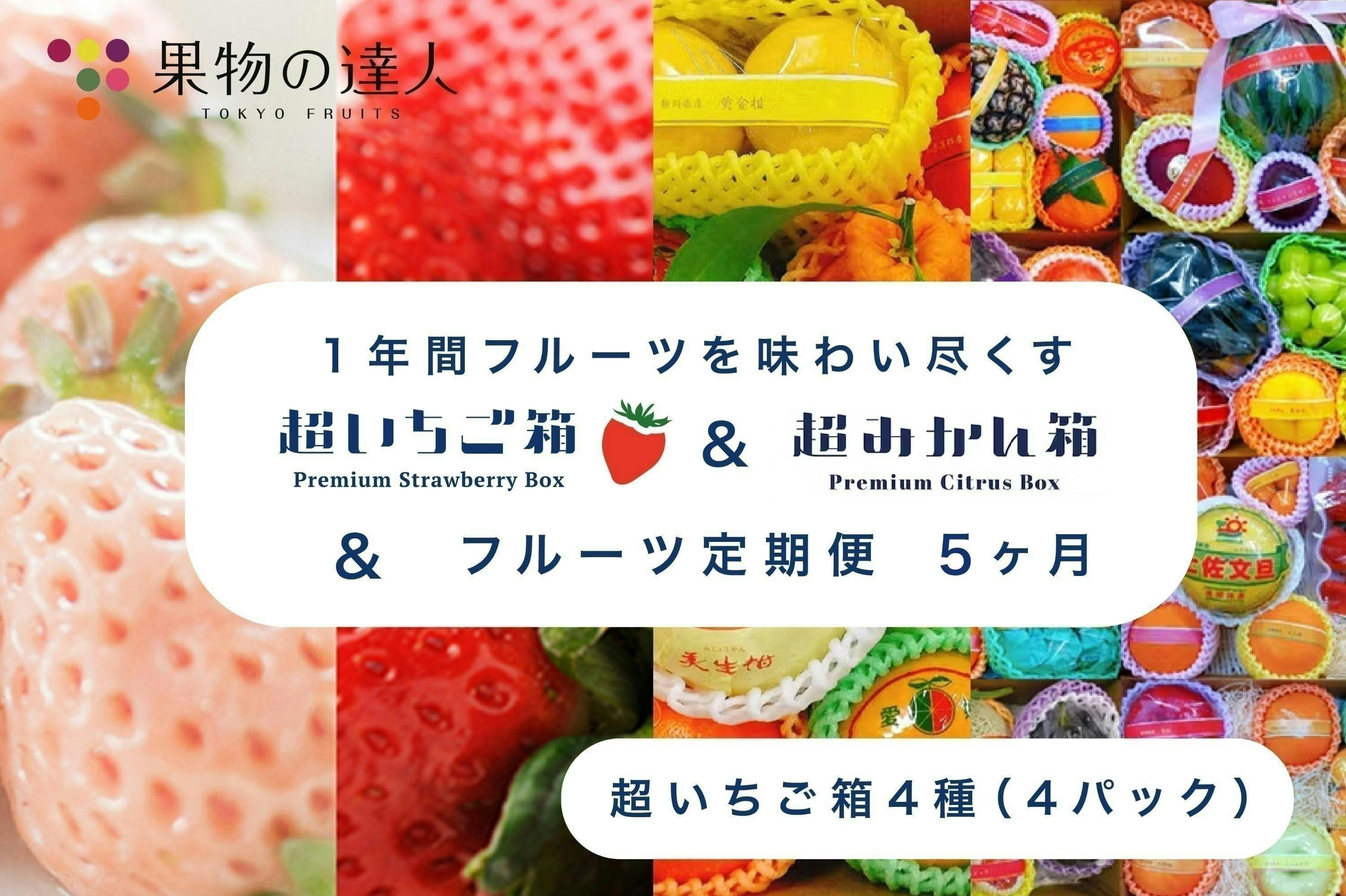 旬の激ウマいちごを食べ尽くす「超いちご箱」2025!専門家による厳選 旬の激ウマいちごを食べ尽くす「超いちご箱」2025!専門家による厳選