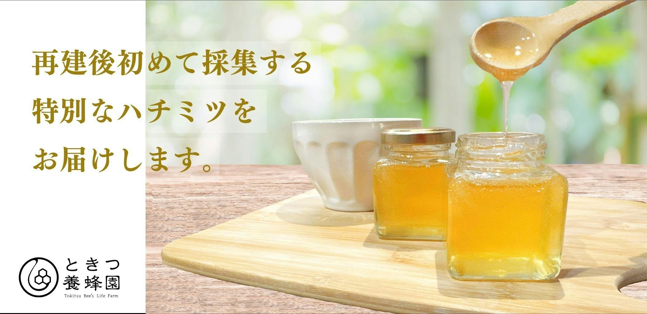 レア【プレイモービル】6818「養蜂家」 beekeeping 2016 レア【プレイモービル】6818「養蜂家」 beekeeping 2016 レア