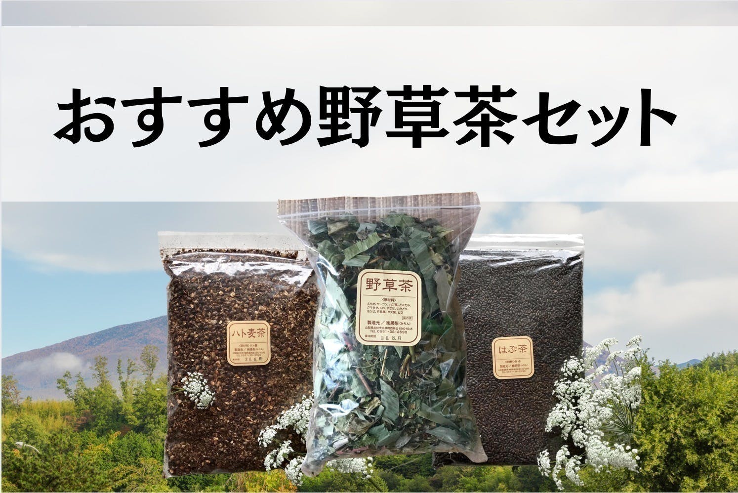 リターン画像