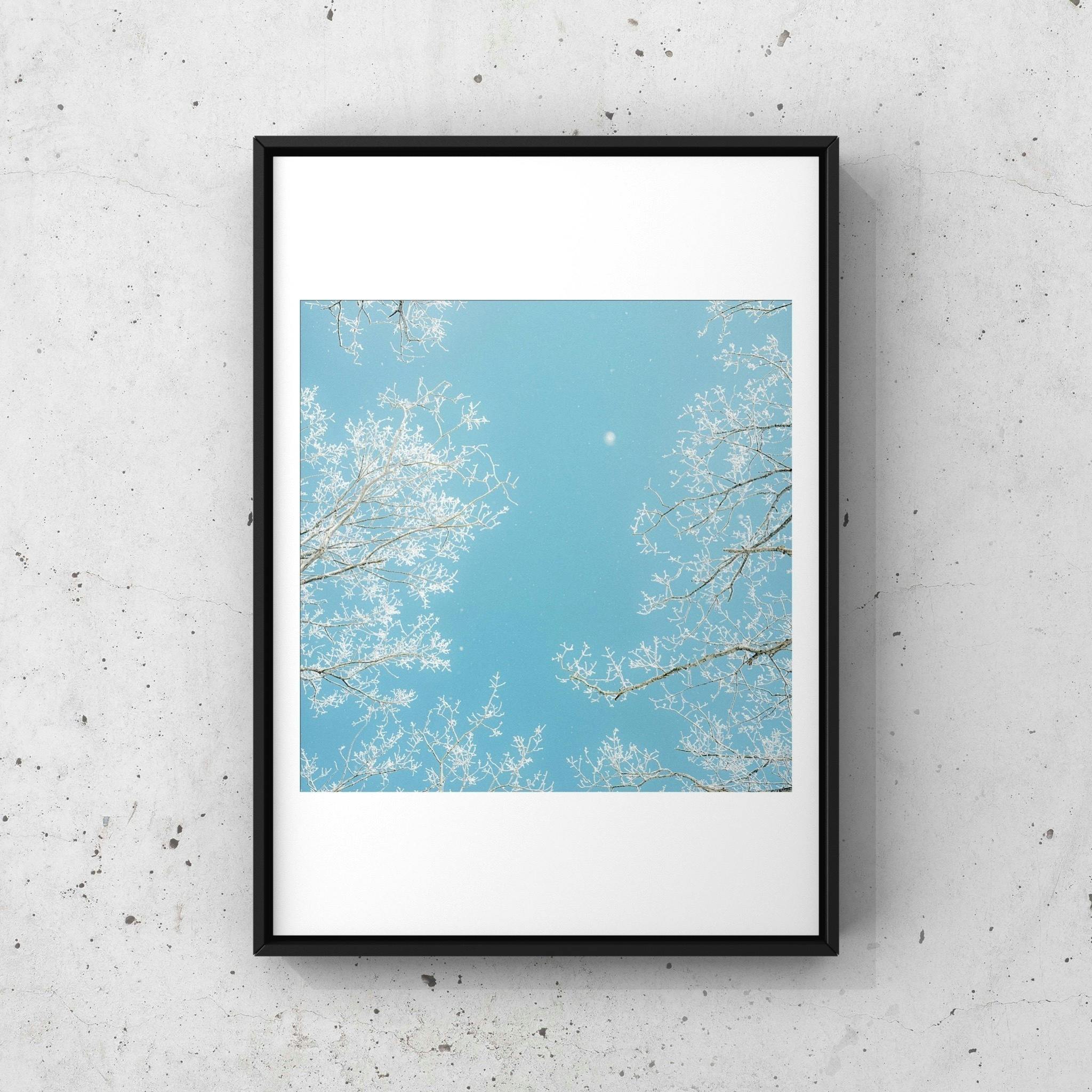 初の写真集・写真展「To the North（仮）」を成功させたい - CAMPFIRE