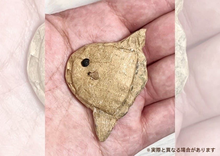 リターン画像