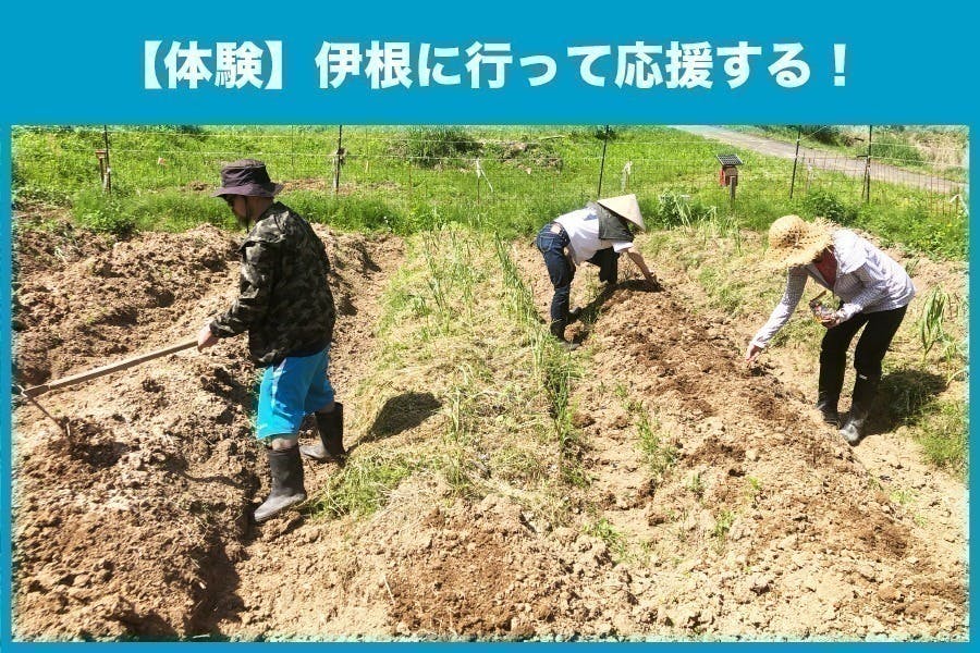 リターン画像