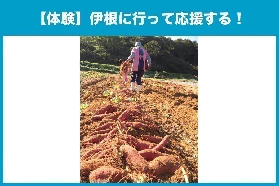 リターン画像