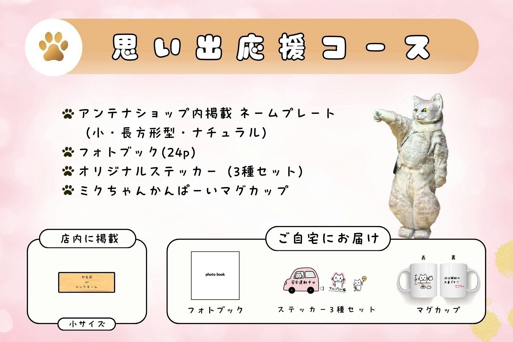 がんと共に歩む店主とアルバイト猫が挑む！念願のアンテナショップを