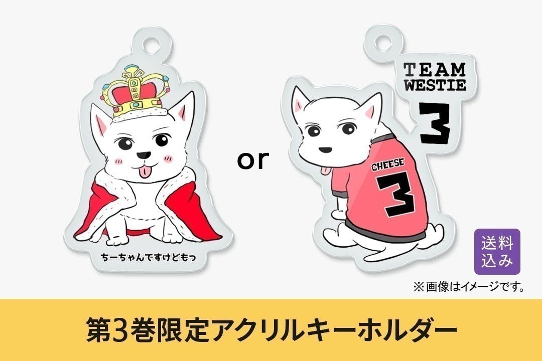 16歳・ちーちゃんの漫画で健康・元気で過ごす愛犬ライフを伝えたい