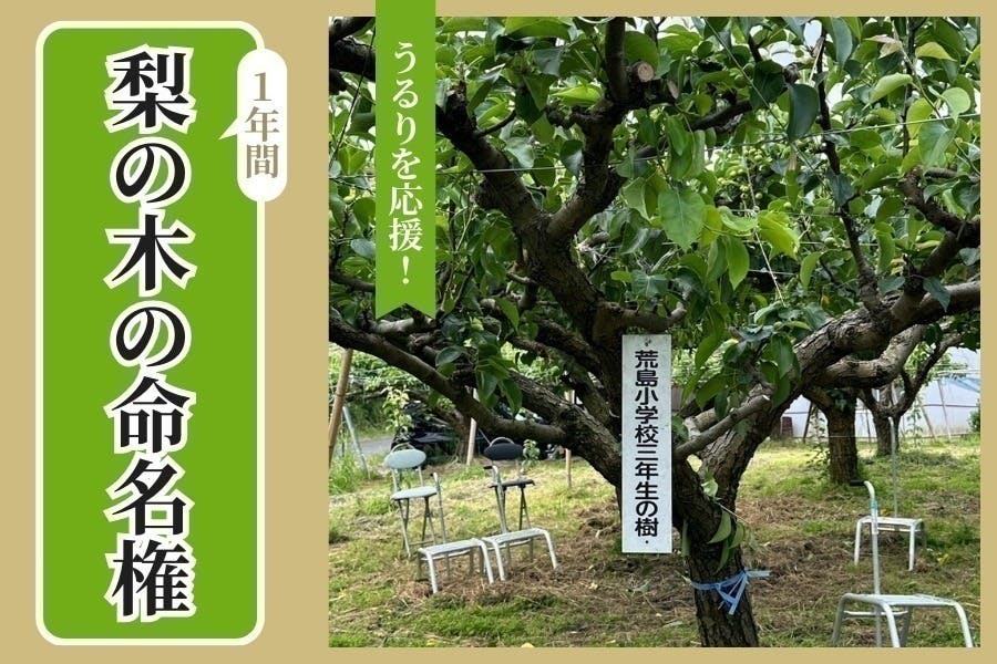 リターン画像