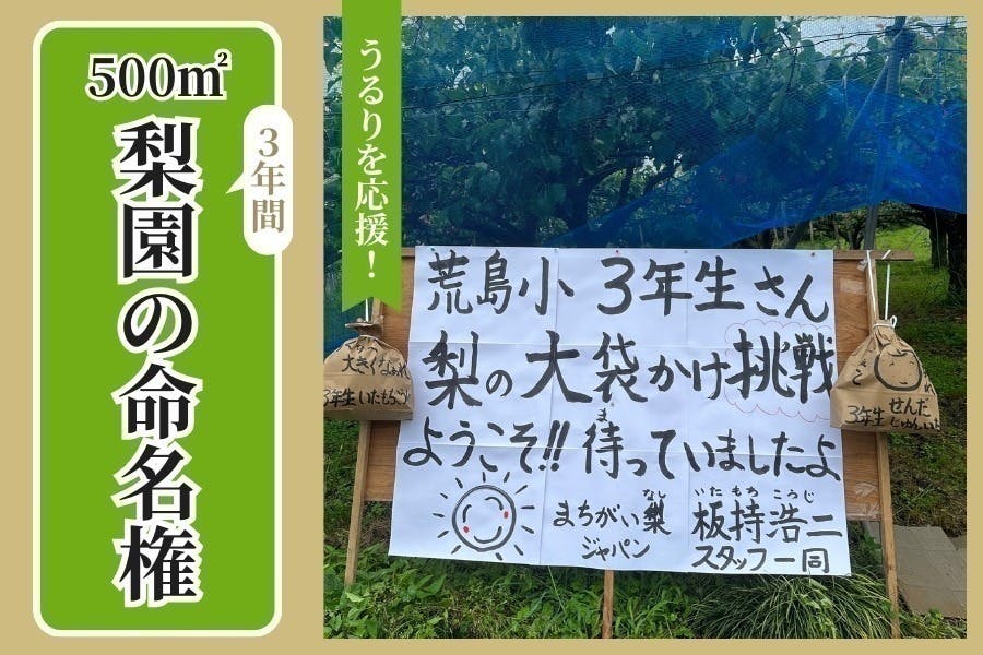 リターン画像