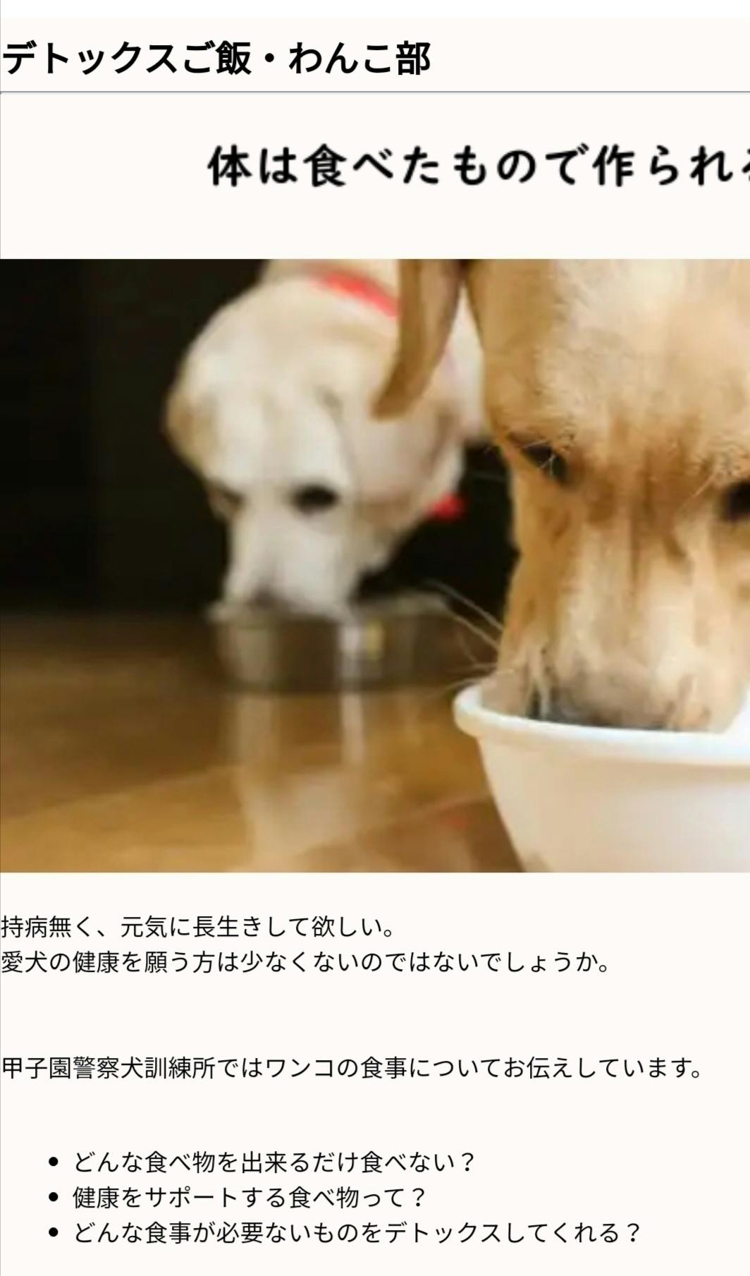 リターン画像